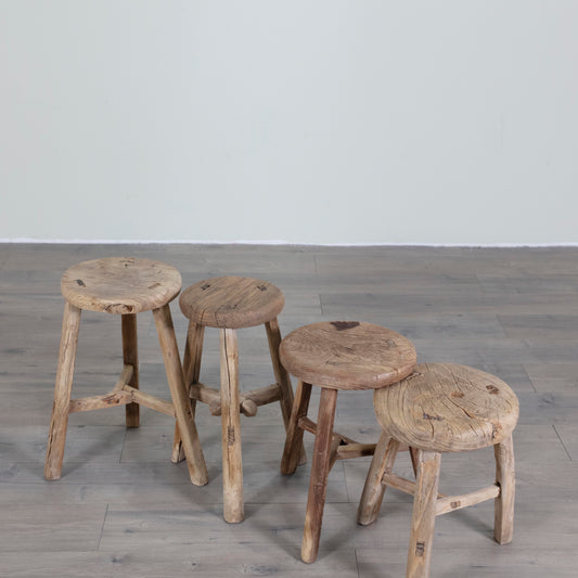 Row of Elm Stools - Round | Annabelle's Design Store NZ