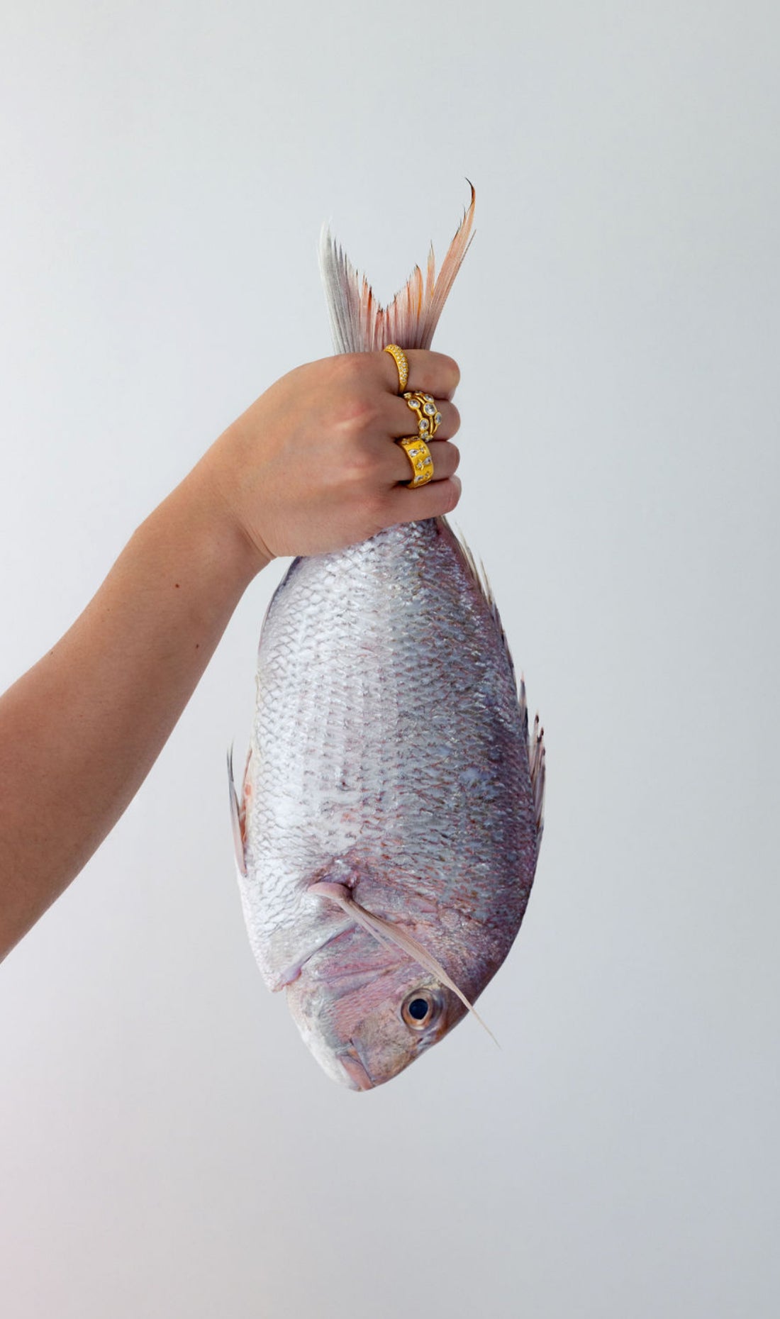 OPHELIA RING | CLEAR