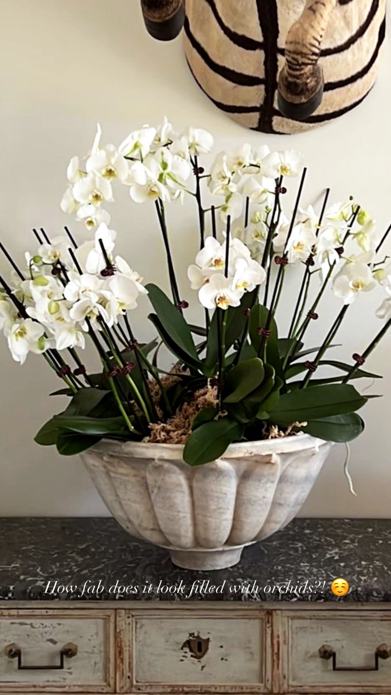 MARBLE BASIN