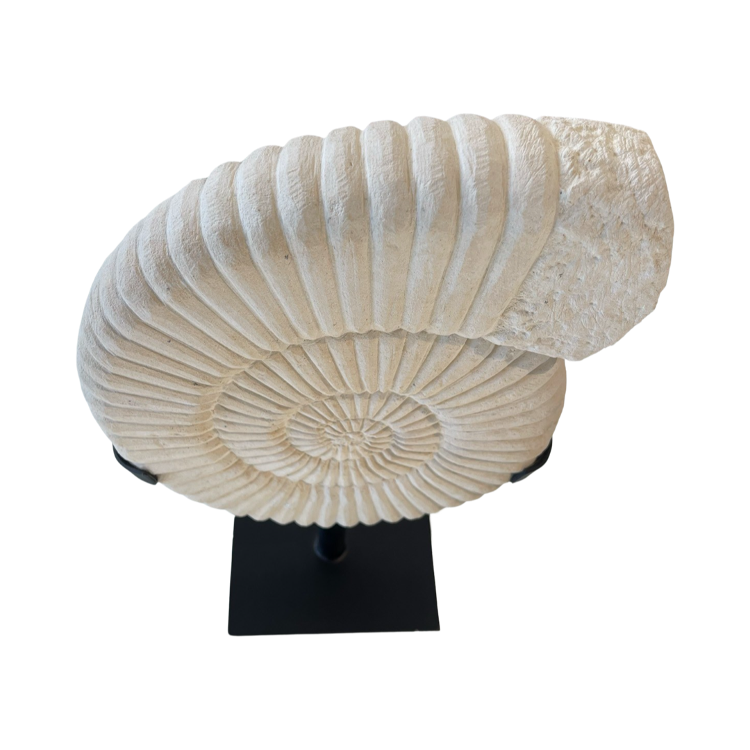 STONE NAUTILUS SHELL