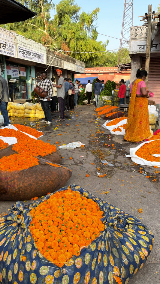 Hello again! Life after the shop, Jaipur & what's next