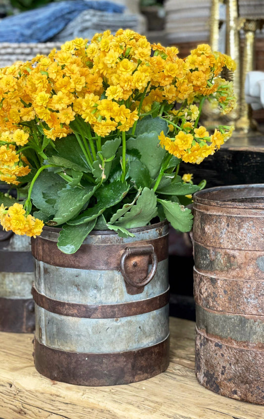 VINTAGE INDIAN IRON POT